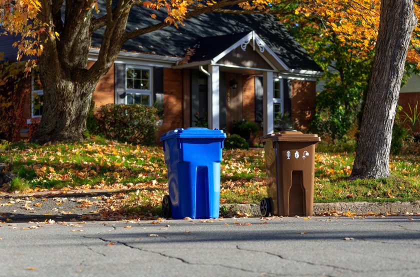 Bac bleu et bac brun sur le bord du chemin pour la collecte