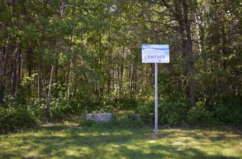 Photo du sentier Sainte-Marthe, maintenant appelé "Espace vert des Marthelinois"